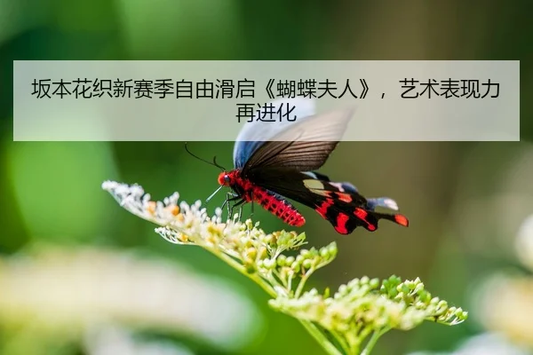 坂本花织新赛季自由滑启《蝴蝶夫人》，艺术表现力再进化