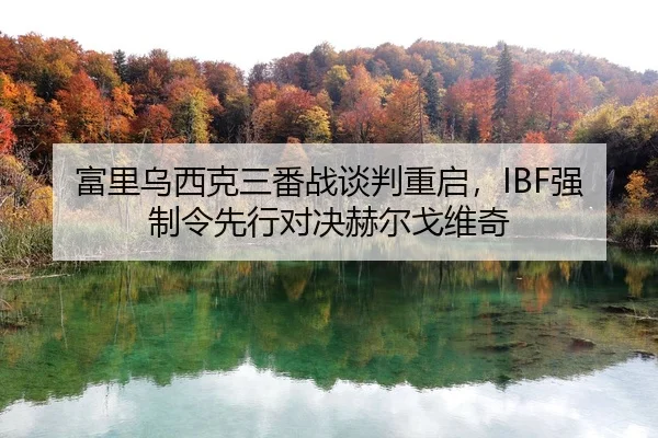 fu-li-wu-xi-ke-san-fan-zhan-tan-pan-chong-qi-qiang-zhi-ling-xian-xing-dui-jue-he-er-ge-wei-qi-2-483.jpg