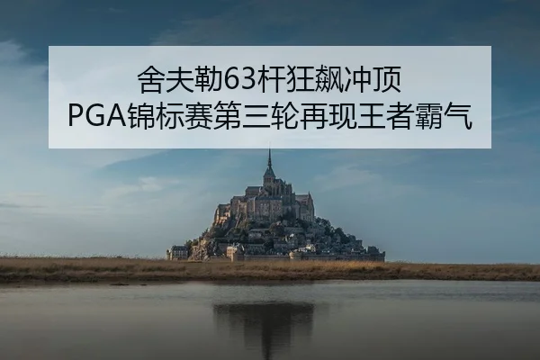舍夫勒63杆狂飙冲顶 PGA锦标赛第三轮再现王者霸气